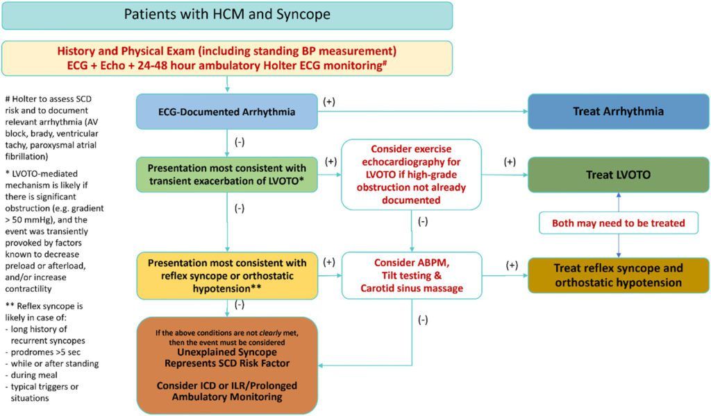 Expert Consensus on Syncope in HCM