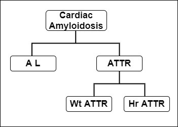 AL: Light chain amyloid; ATTR: Transthyretin amyloid; Wt: wild type; Hr: Hereditary type (genetic). Contributed by Anubhav Jain, MD