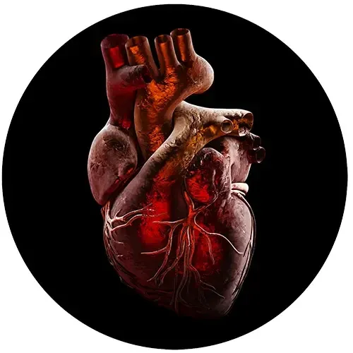 Arrhythmia Is the HCMA Topic for March
